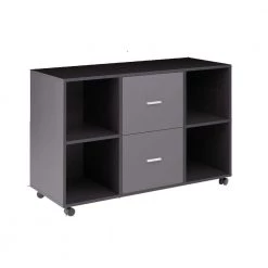 Black-Dark Gray File Cabinet with 2-Drawers And 4 Open Storage by Wateday