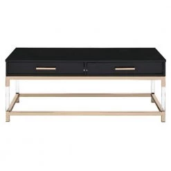 44 in. Black Rectangle Wood Coffee Table with 2-Drawers by Wateday