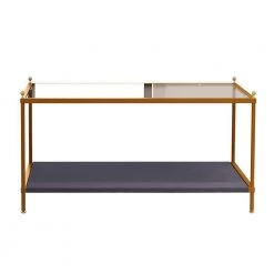 39.4 in. Gold Rectangle Glass Coffee Table with Pet Mat by Wateday