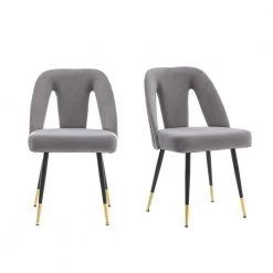 Gray Velvet Upholstered Dining Side Chair (Set of 2) by Wateday