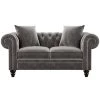 63 in. Wide Rolled Arm Velvet Modern Straight Loveseat Sofa in Gray with 2-Pillows by Wateday