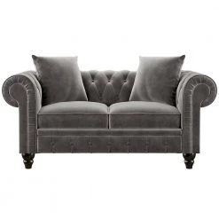 63 in. Wide Rolled Arm Velvet Modern Straight Loveseat Sofa in Gray with 2-Pillows by Wateday