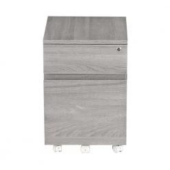 Light Gray File Cabinet with 2-Drawer by Wateday